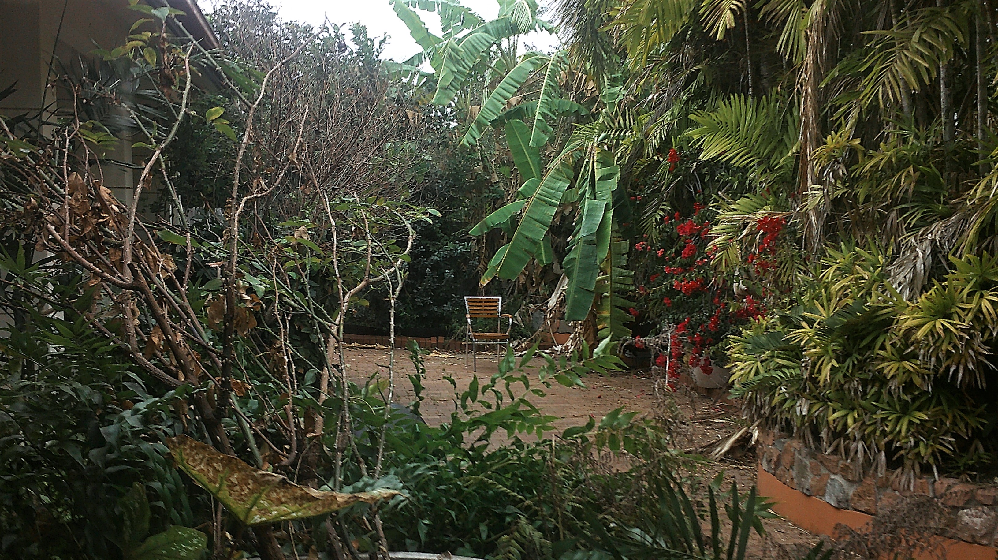 What appears to be a garden with trees, chairs, and benches